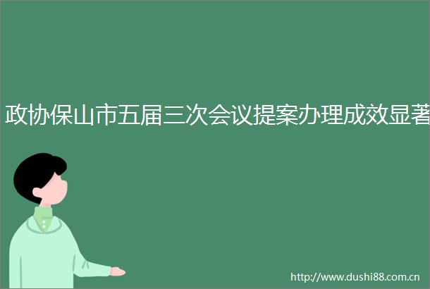 政协保山市五届三次会议提案办理成效显著