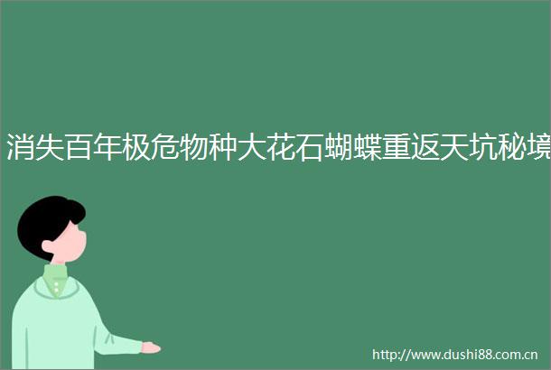 消失百年极危物种大花石蝴蝶重返天坑秘境