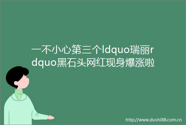一不小心第三个ldquo瑞丽rdquo黑石头网红现身爆涨啦