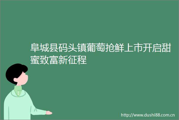 阜城县码头镇葡萄抢鲜上市开启甜蜜致富新征程