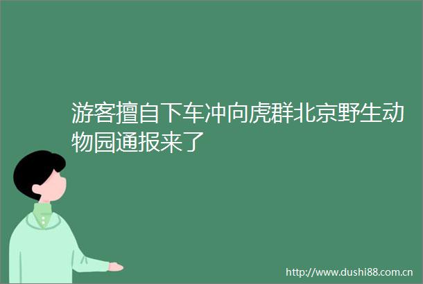 游客擅自下车冲向虎群北京野生动物园通报来了