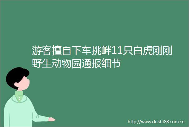 游客擅自下车挑衅11只白虎刚刚野生动物园通报细节