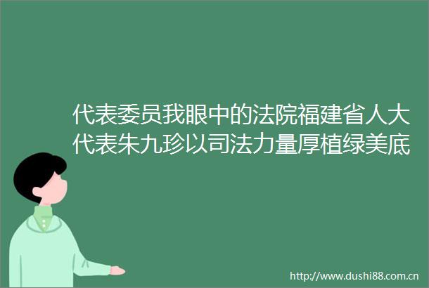 代表委员我眼中的福建省人大代表朱九珍以司法力量厚植绿美底色