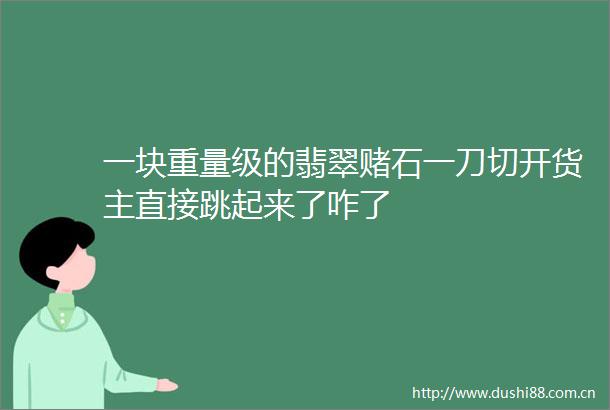 一块重量级的翡翠赌石一刀切开货主直接跳起来了咋了