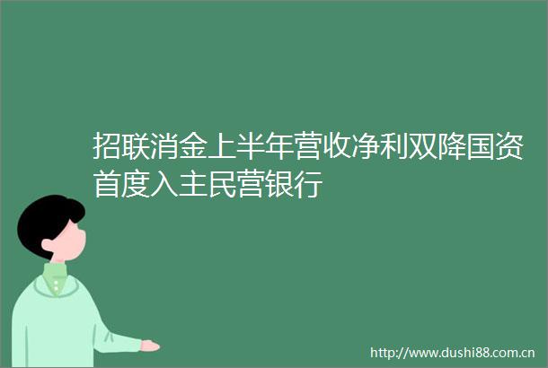 招联消金上半年营收净利双降国资首度入主民营银行