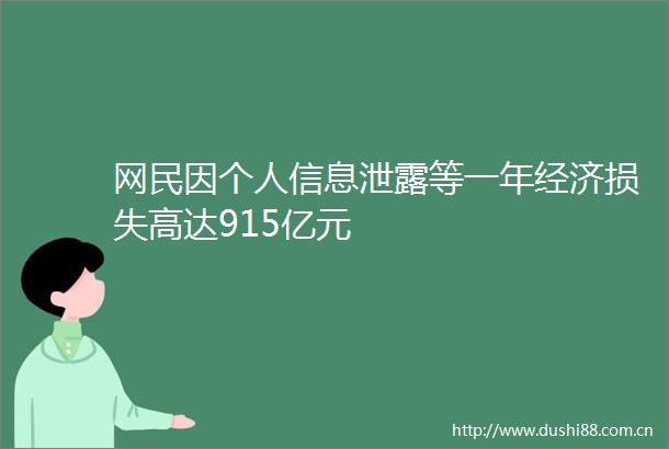 网民因个人信息泄露等一年经济损失高达915亿元