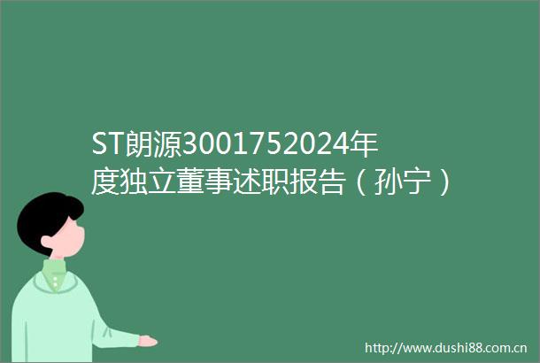 ST朗源3001752024年度独立董事述职报告（孙宁）