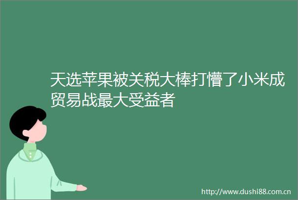 天选苹果被关税大棒打懵了小米成贸易战最大受益者