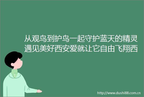 从观鸟到护鸟一起守护蓝天的精灵遇见美好西安爱就让它自由飞翔西安发布的微博视频