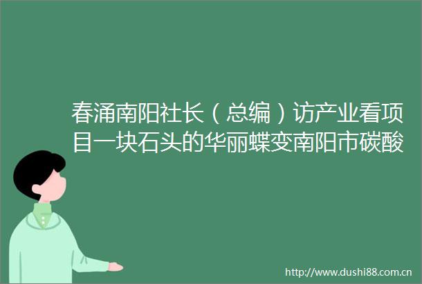 春涌南阳社长（总编）访产业看项目一块石头的华丽蝶变南阳市碳酸钙微粉产业链探访