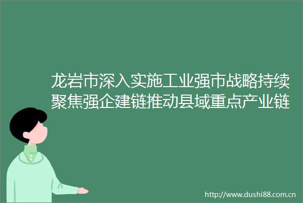 龙岩市深入实施工业强市战略持续聚焦强企建链推动县域重点产业链加快发展新华网