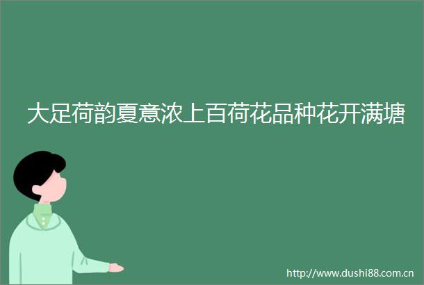 大足荷韵夏意浓上百荷花品种花开满塘