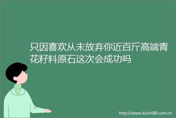 只因喜欢从未放弃你近百斤高端青花籽料原石这次会成功吗