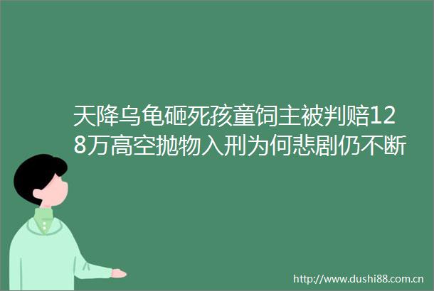 天降乌龟砸死孩童饲主被判赔128万高空抛物入刑为何悲剧仍不断