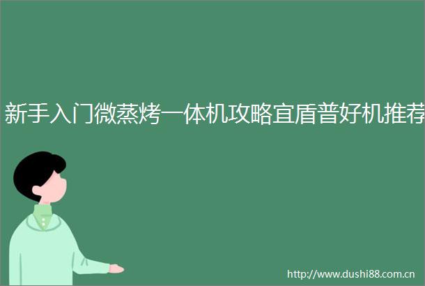 新手入门微蒸烤一体机攻略宜盾普好机推荐