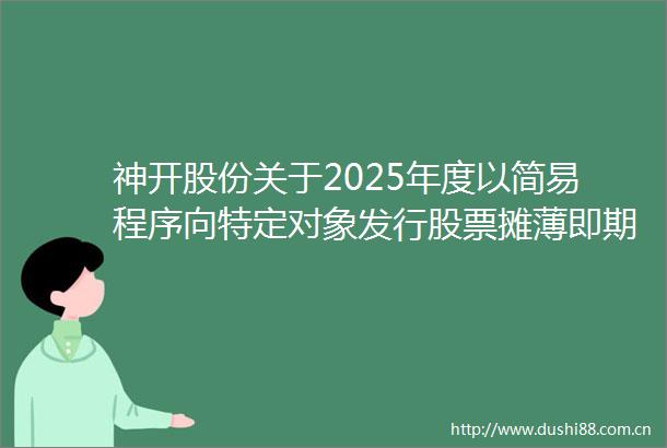 神开股份关于2025年度以简易程序向特定对象发行股票摊薄即期回报填补措施及相关主体承诺事项的公告