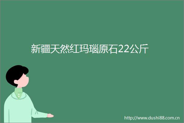 新疆天然红玛瑙原石22公斤
