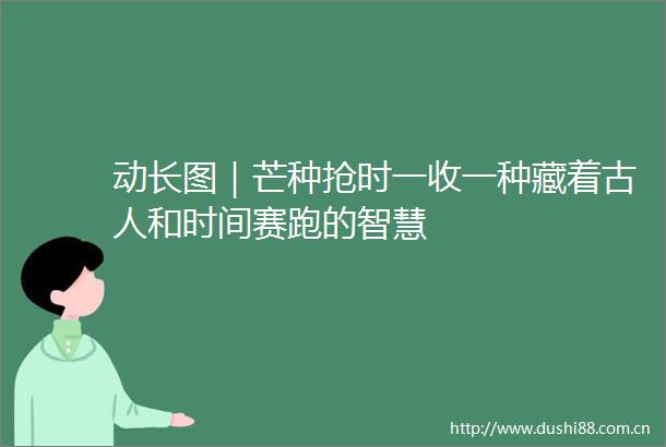 动长图｜芒种抢时一收一种藏着古人和时间赛跑的智慧