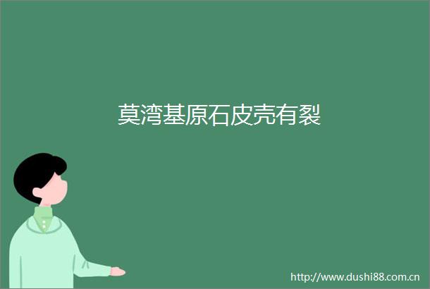 莫湾基原石皮壳有裂