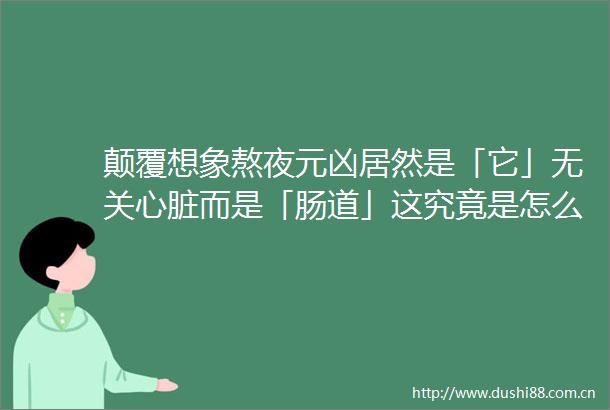 颠覆想象熬夜元凶居然是「它」无关心脏而是「肠道」这究竟是怎么回事