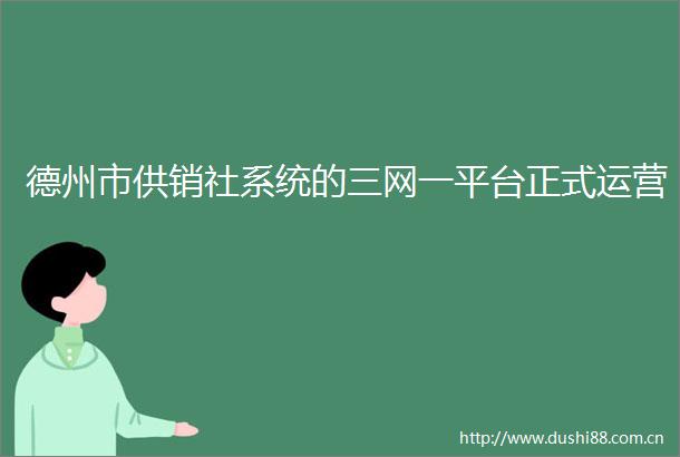 德州市供销社系统的三网一平台正式运营