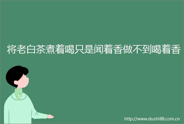 将老白茶煮着喝只是闻着香做不到喝着香