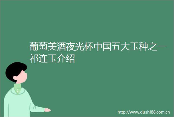 葡萄美酒夜光杯五大玉种之一祁连玉介绍