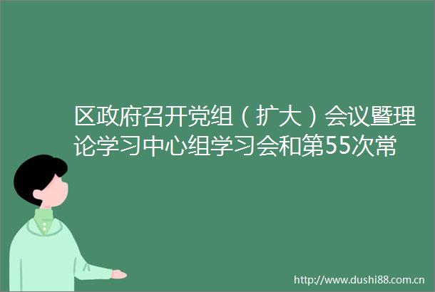 区召开党组（扩大）会议暨理论学习中心组学习会和第55次常务会议
