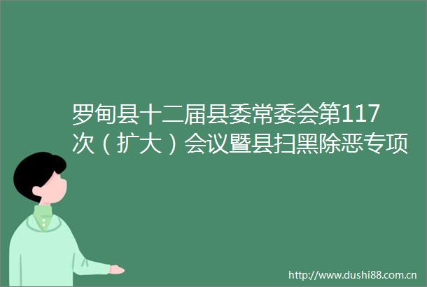 罗甸县十二届县委常委会第117次（扩大）会议暨县扫黑除恶专项斗争小组第3次会议召开