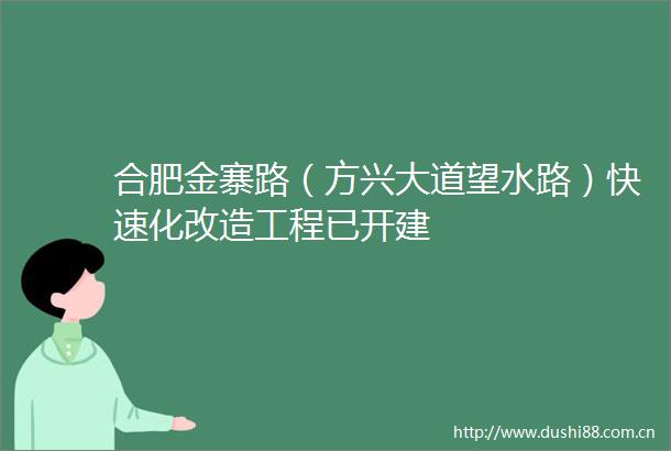 合肥金寨路（方兴大道望水路）快速化改造工程已开建
