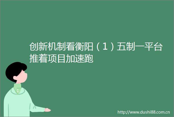创新机制看衡阳（1）五制一平台推着项目加速跑