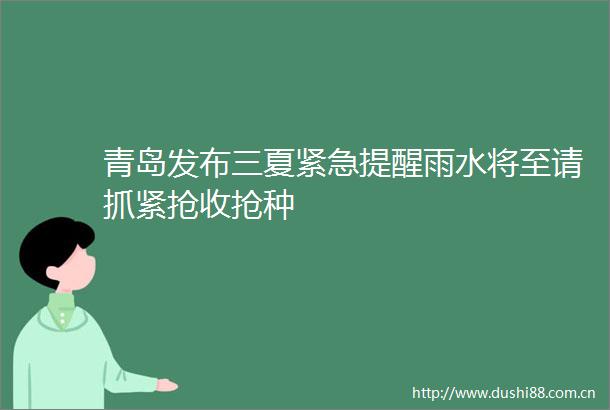 青岛发布三夏紧急提醒雨水将至请抓紧抢收抢种