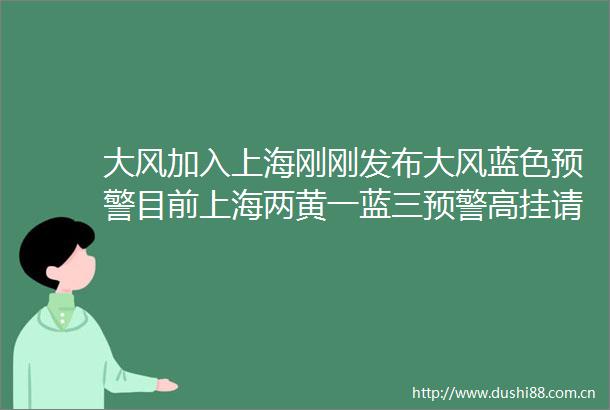 大风加入上海刚刚发布大风蓝色预警目前上海两黄一蓝三预警高挂请大家做好防范