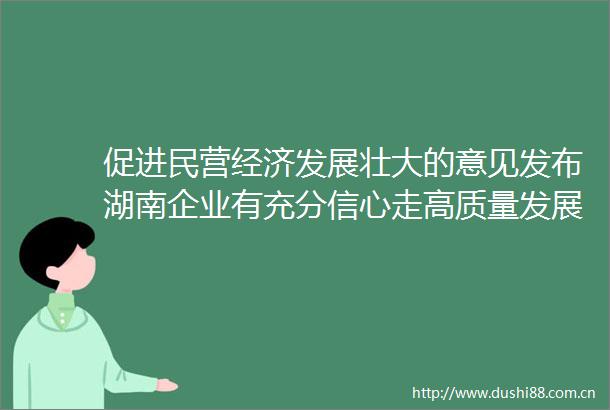 促进民营经济发展壮大的意见发布湖南企业有充分信心走高质量发展之路