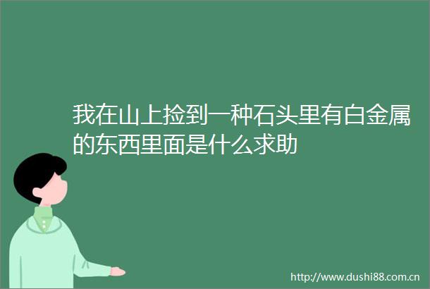 我在山上捡到一种石头里有白金属的东西里面是什么求助