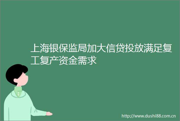 上海银保监局加大信贷投放满足复工复产资金需求