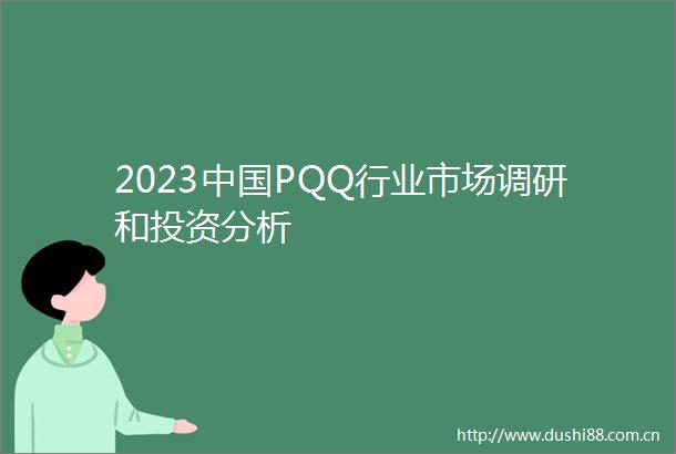 2023PQQ行业市场调研和投资分析