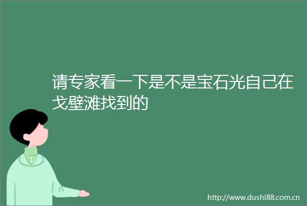 请专家看一下是不是宝石光自己在戈壁滩找到的
