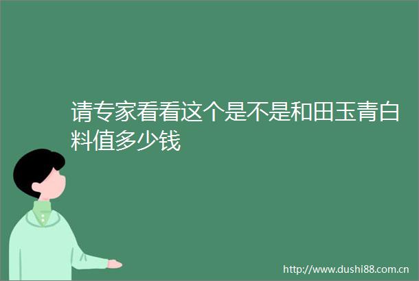 请专家看看这个是不是和田玉青白料值多少钱