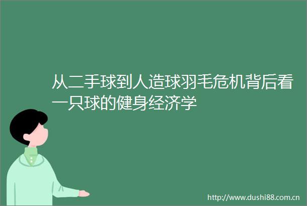 从二手球到人造球羽毛危机背后看一只球的健身经济学