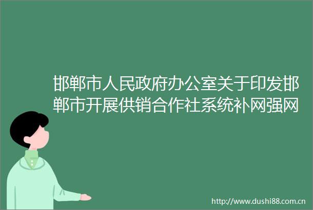 邯郸市办公室关于印发邯郸市开展供销合作社系统补网强网用网行动助推高质量发展实施方案的通知