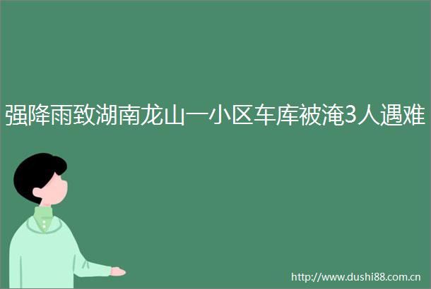 强降雨致湖南龙山一小区车库被淹3人遇难