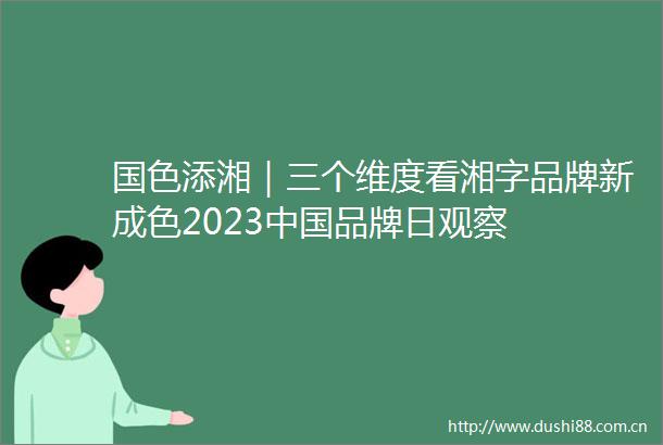 国色添湘｜三个维度看湘字品牌新成色2023品牌日观察
