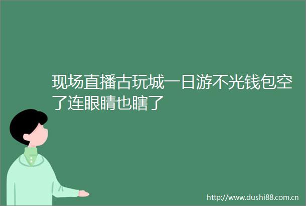现场直播古玩城一日游不光钱包空了连眼睛也瞎了