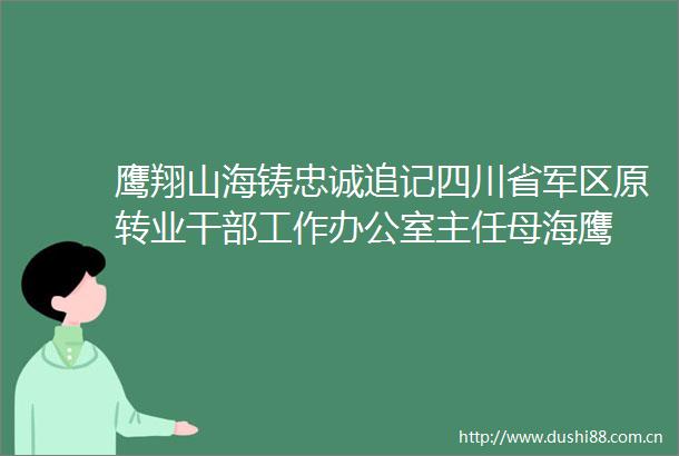 鹰翔山海铸忠诚追记四川省原转业工作办公室主任母海鹰