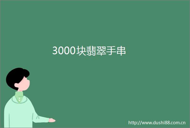 3000块翡翠手串
