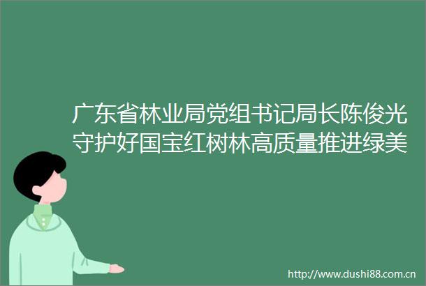 广东省林业局党组书记局长陈俊光守护好国宝红树林高质量推进绿美广东生态建设