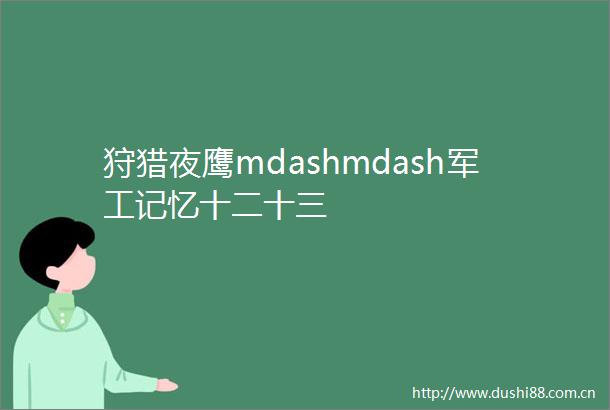 狩猎夜鹰mdashmdash军工记忆十二十三