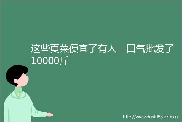 这些夏菜便宜了有人一口气批发了10000斤