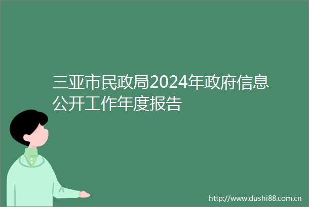 三亚市民2024年信息公开工作年度报告